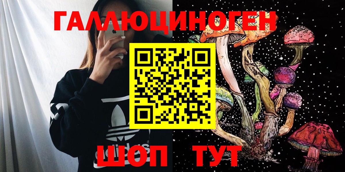 Холмск  Псилоцибиновые грибы GOLDEN TEACHER  Вход с VPN 